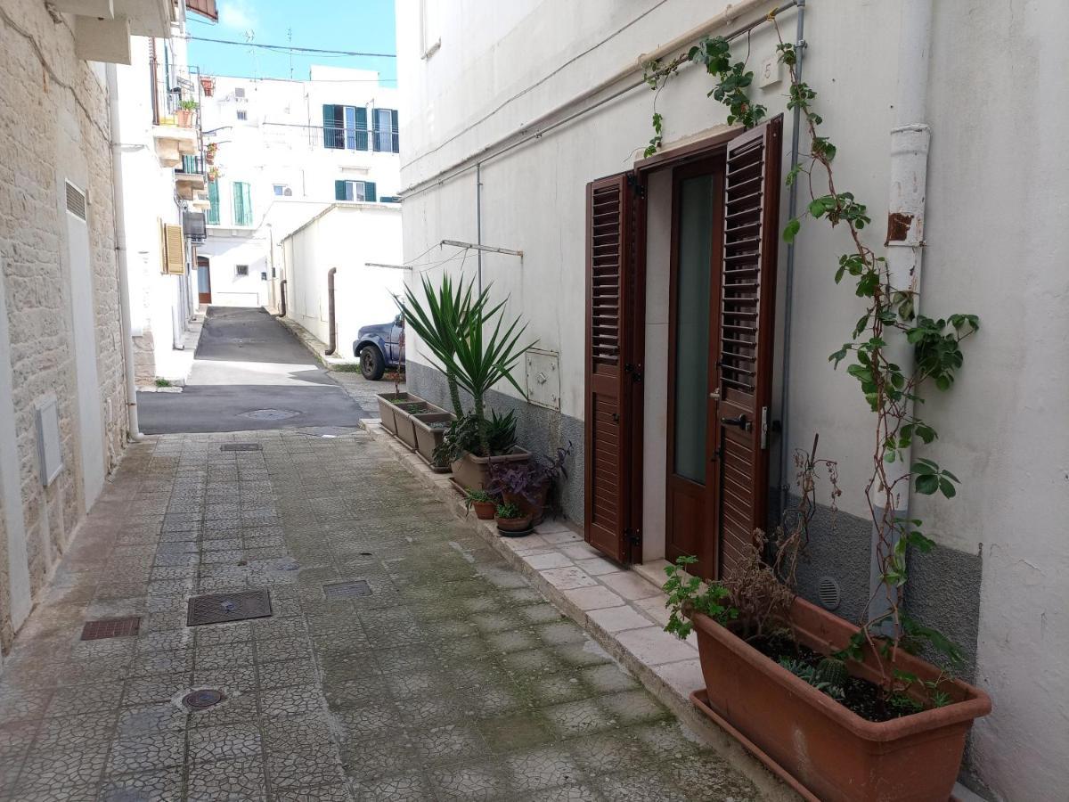 فيلا Casa Perosi نوتشي المظهر الخارجي الصورة